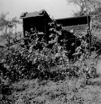 Das alte Bienenhaus (1954)